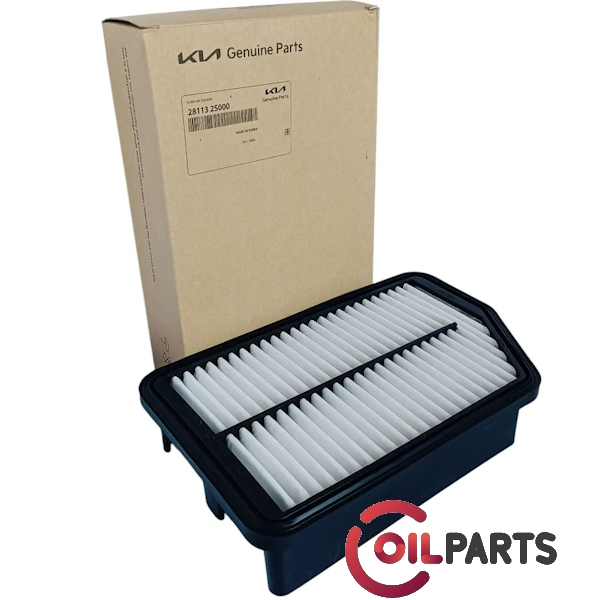 Фільтр повітряний Hyundai/KIA 28113-2S000