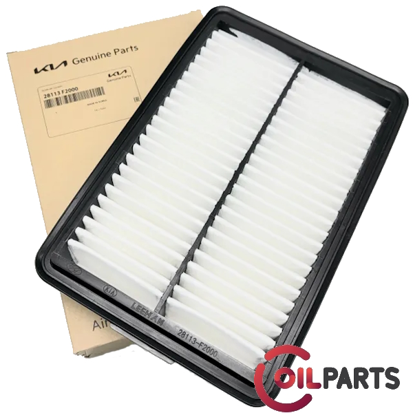 Фільтр повітряний Hyundai/KIA 28113-F2000